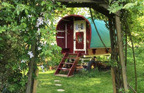 New Forest District Bed & Breakfast | Fernwood
