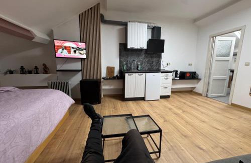 Charleroi Apartment | FERTILE