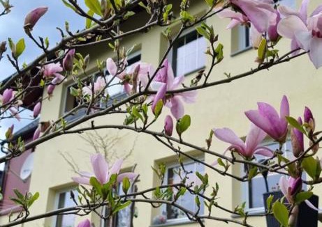Klingenthal Apartment | FEWO Aschbergblick