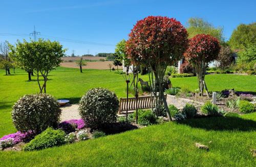Bergfeld Apartment | Fewo Bergfeld