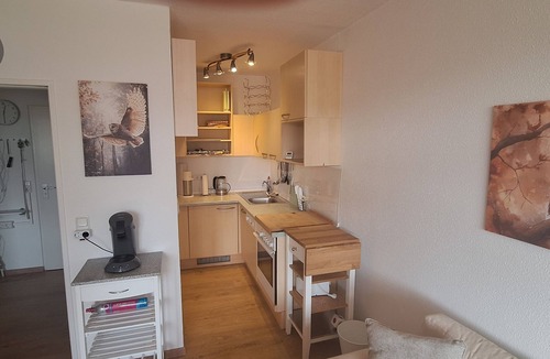 Schluchsee Apartment | FeWo Eulenhorst - Holiday enjoyment in the vacation resort at Schluchsee (with pool)