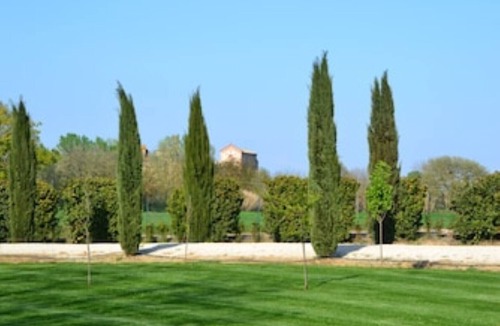 Castiglione della Valle Apartment | Fico Apartment with solar heated pool set in the Umbrian countryside