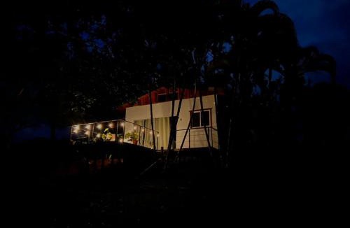 Pital Apartment | Ficus house