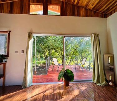 Pital Apartment | Ficus house