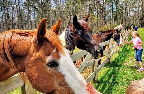 Galax House | Fiddlers Farmhouse New River Trail, Mountains, hiking, Biking, Galax, Fries
