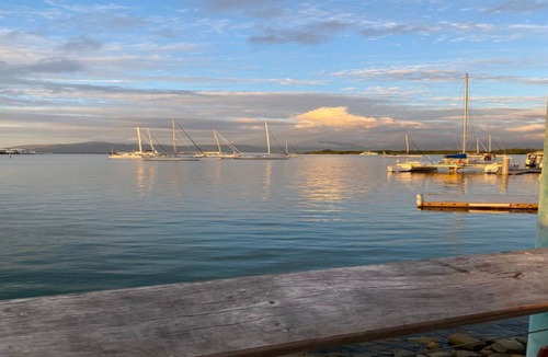 Nadi House | Fiji Island Escape with Tropical Gardens & Spacious 1BR Garden View