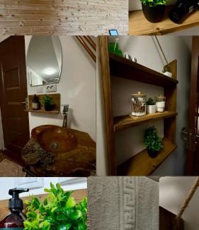 Albac House | Finașii