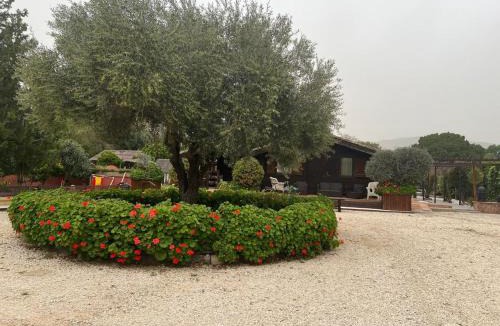 San Pablo de Buceite House | FINCA ALMAZARA