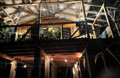 Placencia House | Finca Beachfront Tree house
