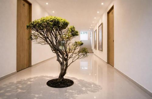 San Jeronimo Villa | Finca Hotel Dubai