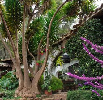 La Chapa House | Finca La Mara