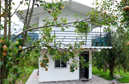 Jenesano House | Finca Peradise - Nuevo Colón
