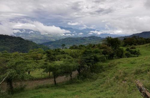 Pacuare Reserve Bed & Breakfast | Finca Queveri
