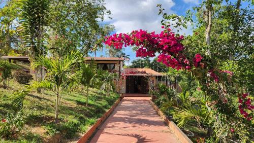 Aratoca House | Finca Turística Marquesa Wellness - Hospedaje, Naturaleza y Day Spa