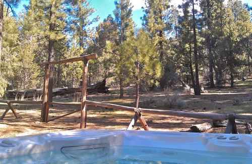 Woodlands House | FIND TRUE SECLUSION IN OUR PEACEFUL CHALET. 5 ACRES, TRAILS, TREES & SPA