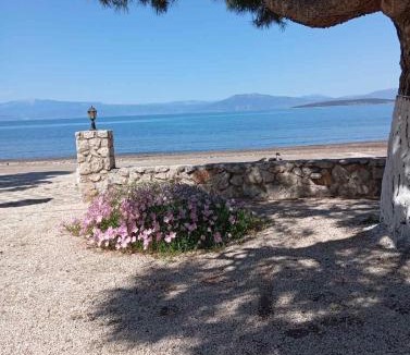 Iria Apartment | Finikas
