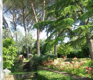 Arcetri Bed & Breakfast | Fiorenza B&B