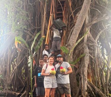 Tanna Island House | Fireworks Tree House