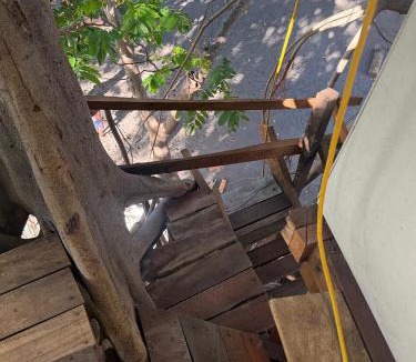 Tanna Island House | Fireworks Tree House