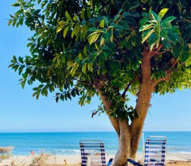 Torrox Costa Apartment | First Line Torrox Costa