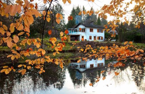 Burgthann House | Fischerhaus