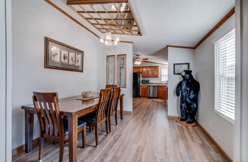 Elizabethton House | Fisherman's Dream! Directly on the beautiful Watauga River! Walk in access!