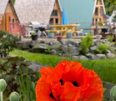Sliammon Ski Chalet | Fishermans Folly