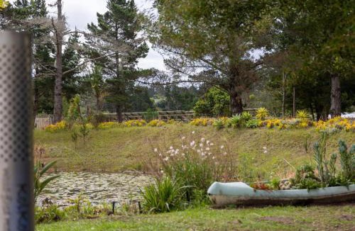 Buffalo Hills Game Reserve House | Five Elements Resort - Dome Glamping Tent