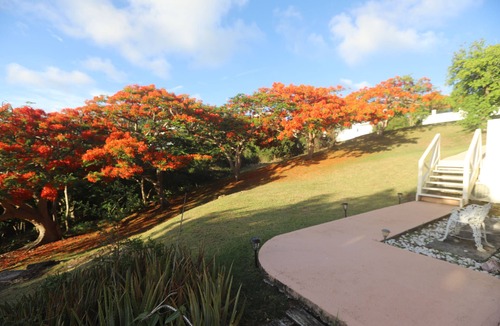 Estate Bakkero Apartment | Flamboyant Oasis