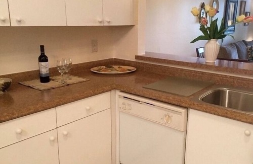 Ole Condo | Flamingo Golf Course 13th Fairway 3 Bedroom, 2 Bath Condo in desirable Lely.