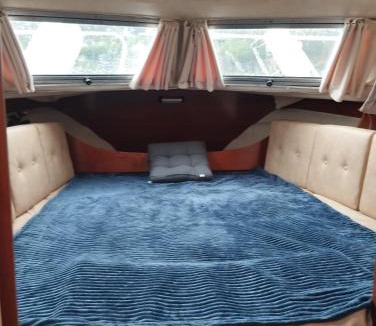 Vikedal Boat Rental | Flamingo