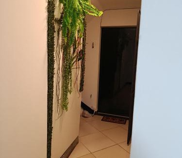 Centro Apartment | Flat Aconchego