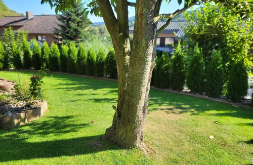 Bodenwerder House | Flat "Apartment with terrace and sunbathing lawn