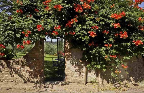 San Donato a Livizzano Apartment | Flat in a winery in Montespertoli,A/C,Wi-Fi, swimming pool,children friendly,Ros