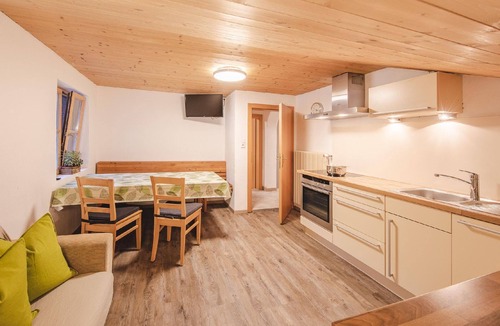 Lappago Apartment | Flat "Bauernwohnung" with mountain view
