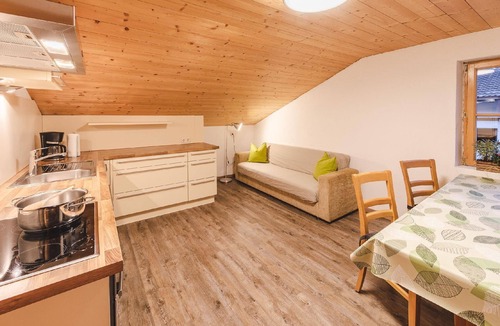 Lappago Apartment | Flat "Bauernwohnung" with mountain view
