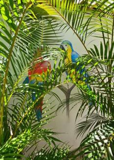 Jabaquara Apartment | Flat - SERRA E MAR - Paraty