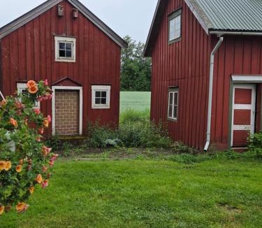 Snasa House | Flekkan gård