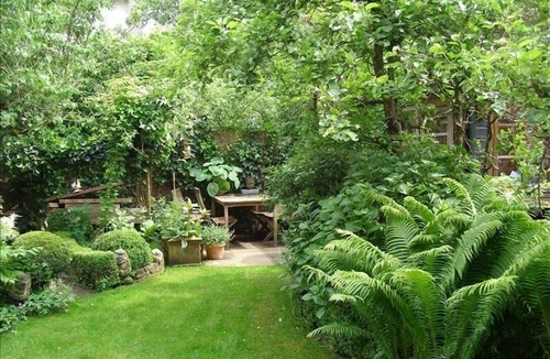 Middenmeer House | Fleur d'Amsterdam, Safe, Clean, Cosy and Happy! 2 to 4 persons