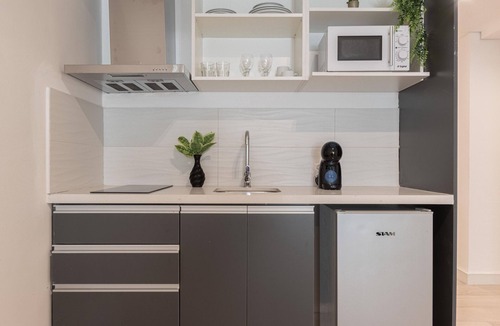 El Centro Apartment | Fliphaus + Virrey 1 G - Lux Loft 4 Pax Congreso