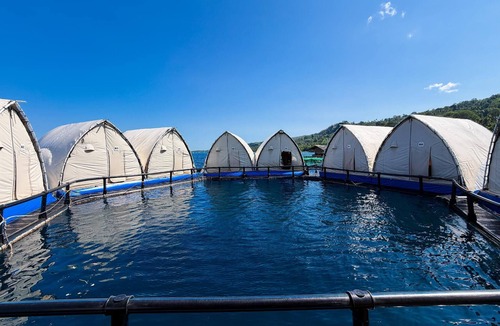 Kaputian Boat Rental | Floating Home in Reef Resort Unit 11
