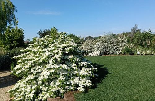 Chieri Bed & Breakfast | Florario B&B