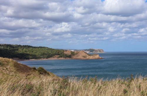 Cayton Bay House | Floraville