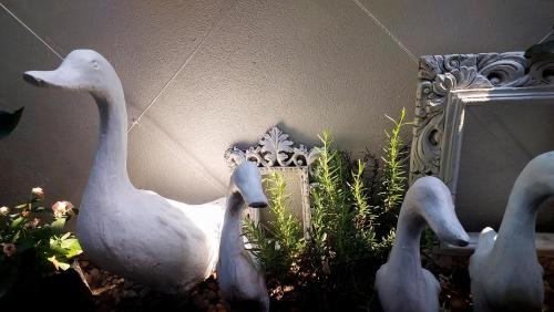 Old City Hostel | Flow Garden Residence