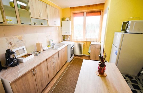 Odorheiu Secuiesc Apartment | Flower Apartment - Deluxe