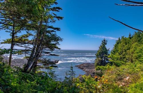 Ucluelet House | Fogged Inn
