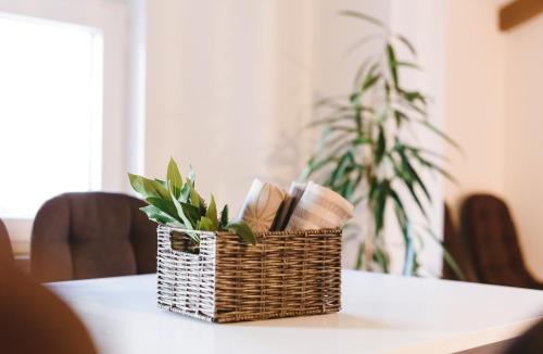 Koper Apartment | Fonda Apartments