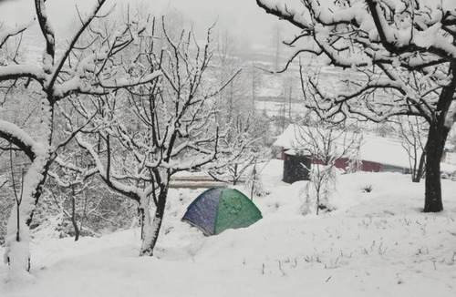 Manali Bed & Breakfast | Food&travel cafe n Homes