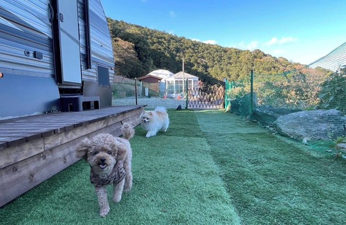 Futo Cabin | For 4 people Dogs welcome Dome tent 6mE traile/Ito Shizuoka