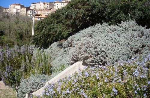 Tolla House | Forca d'Olmu - Lake side